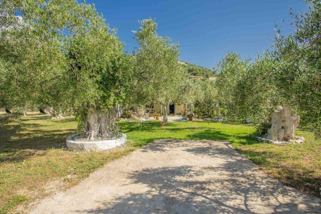 Anthia Private Studio A Breath Away From Beaches Áyios Nikítas Екстериор снимка