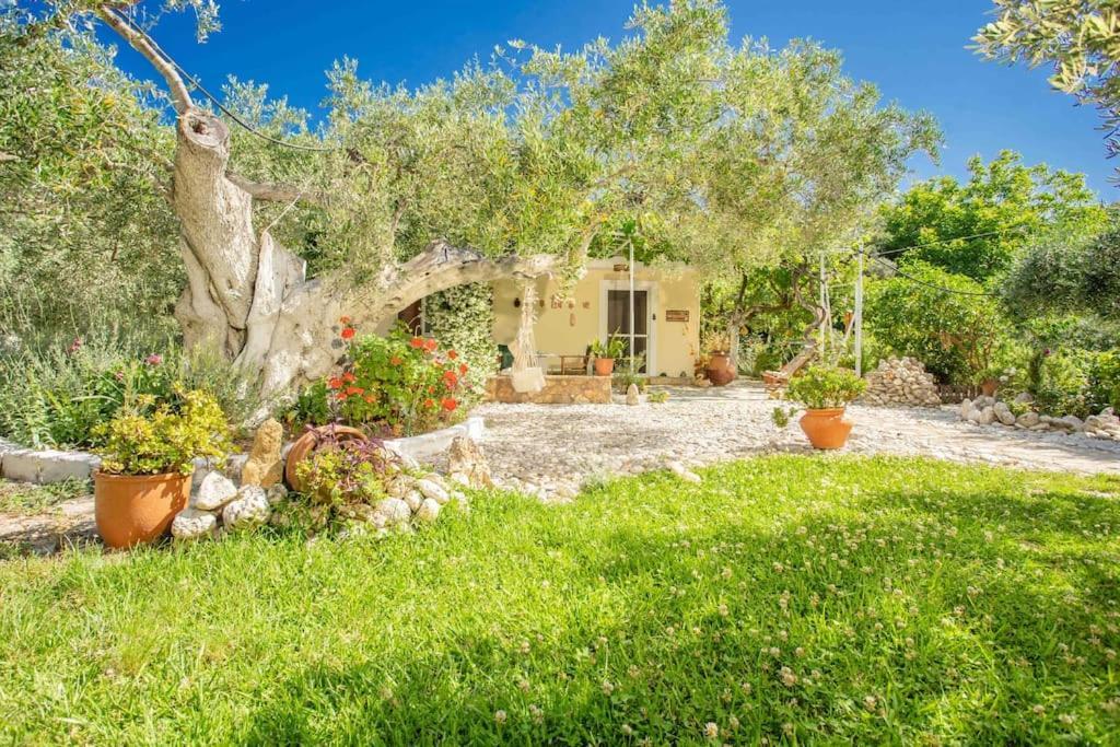 Anthia Private Studio A Breath Away From Beaches Áyios Nikítas Екстериор снимка